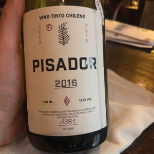 Pisador 2016