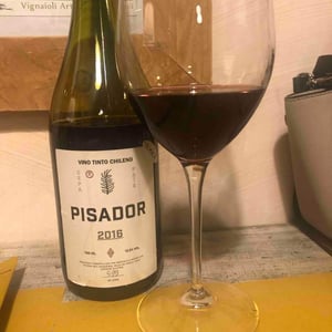 Pisador - Agricola La Mision - elena-pantaleoni-nicola-massa