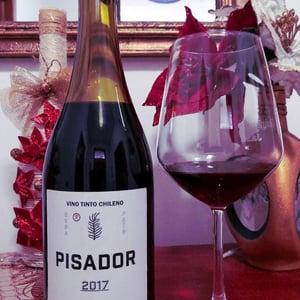 Pisador - Agricola La Mision - Elena Pantaleoni & Nicola Massa 