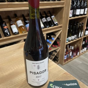 Pisador - Agricola La Mision - elena-pantaleoni-nicola-massa