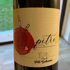 Pitre - Domaine du petit bonhomme - Fabien Chanavas -2022