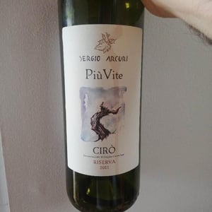 Più Vite - Sergio Arcuri - Sergio Arcuri 
