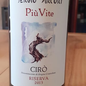 Più Vite - Sergio Arcuri - Sergio Arcuri 