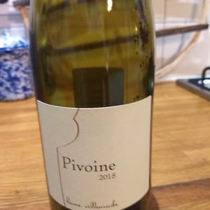 Hervé Villemade - Hervé Villemade - Pivoine