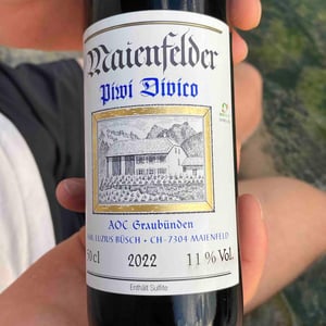 Piwi Divico - Büsch Luzius Weinbau - busch-luzius-weinbau -2022