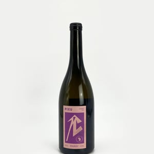 Pixu Furmint - Gilvesy Pincészet - robert-gilvesy -2021