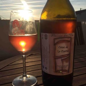 Plaisir Dit...vin - Domaine du Bourg d’Oiseau - frederic-benzergua