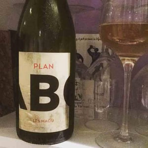 Plan B 2015