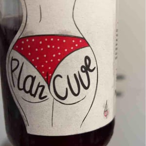 Chai Amandine & Quentin - Amandine Bureau & Quentin Javoy - Plan Cuve