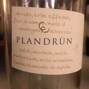 Plandrun - Garage Dell’Uva - francesco-comotto-alessandro-trotto-gatta