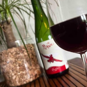 Plane - Domaine La Taupe - nicole-messer-bertjan-mol