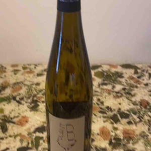 Plant B - Domaine Bonnet-Huteau - jean-jacques-bonnet-vincent-pineau