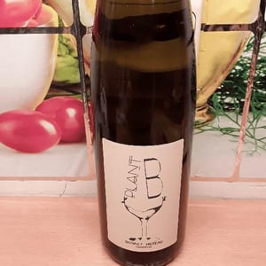 Plant B - Domaine Bonnet-Huteau - Jean-Jacques Bonnet & Vincent Pineau 