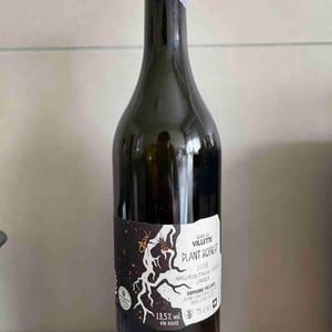 Plant Robert - Domaine Piccard - Jean-Christophe Piccard 