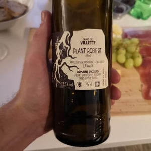Plant Robert - Domaine Piccard - jean-christophe-piccard