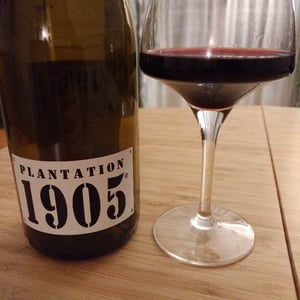 Plantation 1905 2019 - Domaine de La Tour Boisée - la-tour-boisee -2019