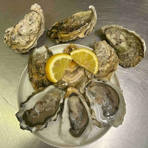 Plat D'Huîtres - Sckiribar - 805290