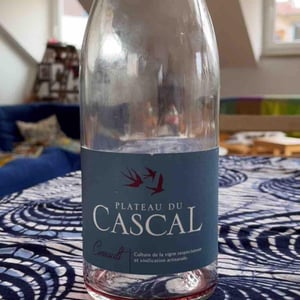 Cinsault - Plateau Du Cascal - Sofi Bataillard et Julien Veyret 
