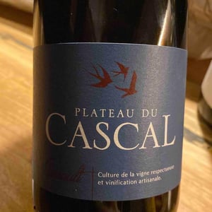 Cinsault 2020 - Plateau Du Cascal - Sofi Bataillard et Julien Veyret -2019