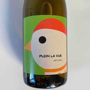 Plein la Vue - Jeff Carrel - Jeff Carrel -2021