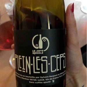 Plein Les Ceps - Domaine de l'Épinay - Earl Paquereau - cyrille-et-sylvain-paquereau