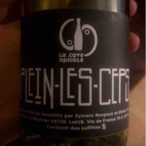 La Cave Apicole - Sylvain Respaut & Olivier Cros - Plein les Ceps (label after 2016)