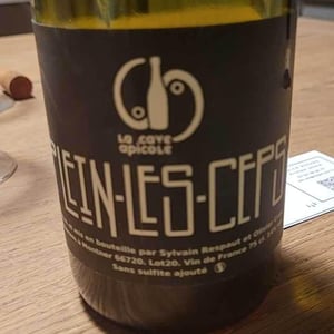 Plein les Ceps (label after 2016) - La Cave Apicole - Sylvain Respaut & Olivier Cros 
