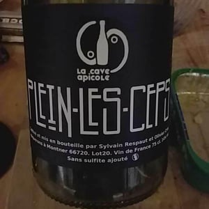 Plein les Ceps (label after 2016) - La Cave Apicole - sylvain-respaut-olivier-cros