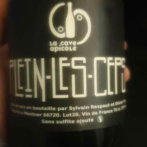 Plein les Ceps (label after 2016) - La Cave Apicole - sylvain-respaut-olivier-cros