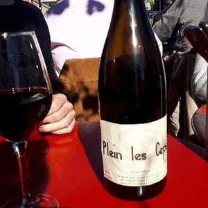 Plein les Ceps (label before 2016) - La Cave Apicole - Sylvain Respaut & Olivier Cros 