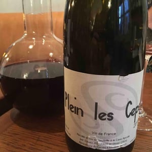 Plein les Ceps (label before 2016) - La Cave Apicole - Sylvain Respaut & Olivier Cros 