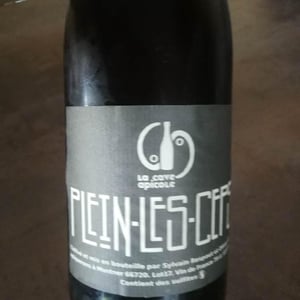 Plein les Ceps (label before 2016) - La Cave Apicole - sylvain-respaut-olivier-cros