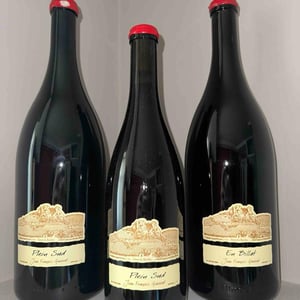 Domaine Ganevat - Anne & Jean-François Ganevat - Plein Sud