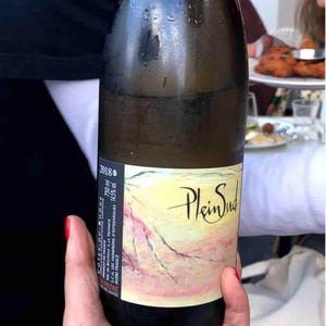 Plein Sud - Les Vignerons d'Estézargues - les-vignerons-destezargues