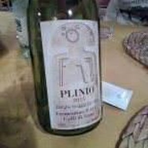 Plinio - Terra Della Luna - alessandro-vignali
