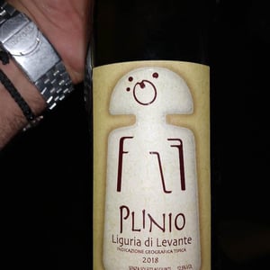 Plinio - Terra Della Luna - Alessandro Vignali 