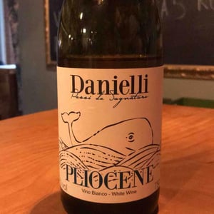 Pliocene - Riccardo Danielli - Riccardo Danielli 