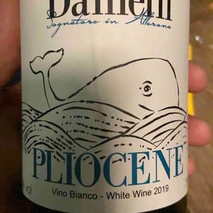 Pliocene - Riccardo Danielli - riccardo-danielli