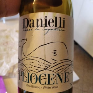 Pliocene - Riccardo Danielli - riccardo-danielli