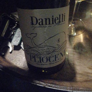 Pliocene - Riccardo Danielli - Riccardo Danielli 