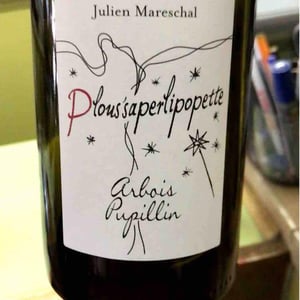 Domaine de la Borde - Julien Mareschal - Plous'saperlipopette