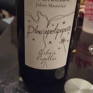 Plous'saperlipopette - Domaine de la Borde - julien-mareschal
