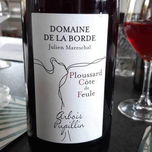 Plous'saperlipopette 2019 - Domaine de la Borde - Julien Mareschal