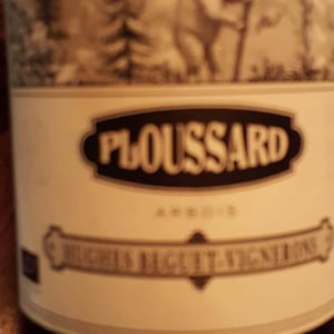 Ploussard 2015 - Domaine Hughes-Beguet - Caroline & Patrice Hughes Béguet