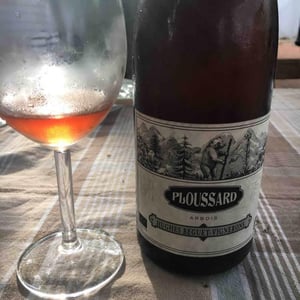Ploussard - Domaine Hughes-Beguet - caroline-patrice-hughes-beguet