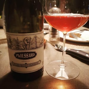 Ploussard - Domaine Hughes-Beguet - Caroline & Patrice Hughes Béguet 