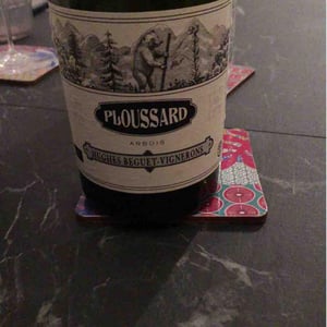 Ploussard - Domaine Hughes-Beguet - Caroline & Patrice Hughes Béguet 