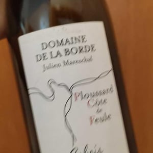 Ploussard Côte de Feule - Domaine de la Borde - Julien Mareschal 