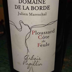 Ploussard Côte de Feule - Domaine de la Borde - Julien Mareschal 