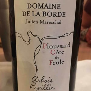 Domaine de la Borde - Julien Mareschal - Ploussard Côte de Feule